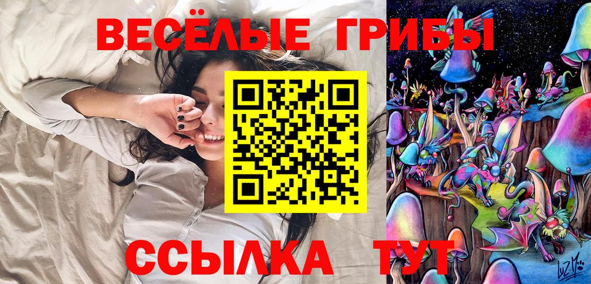Заволжье  сколько стоит  Вход с VPN  Галлюциногенные грибы Cubensis 